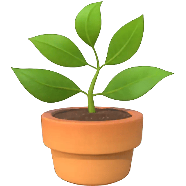 Zen Plant Care